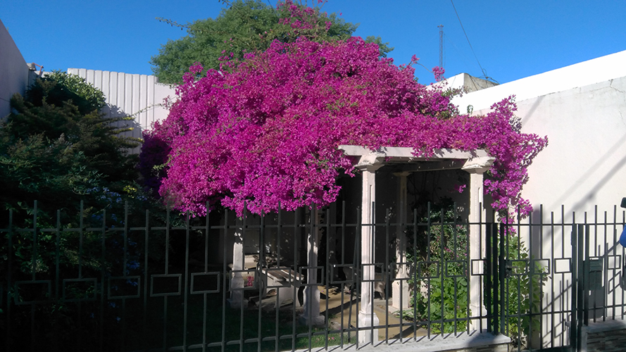 Electricista en Santa Rita